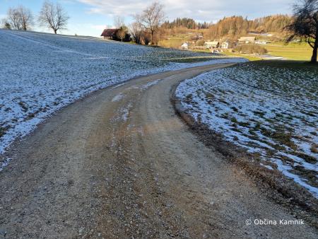 Gozdne ceste (1)
